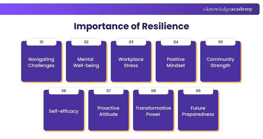 Importance of Resilience