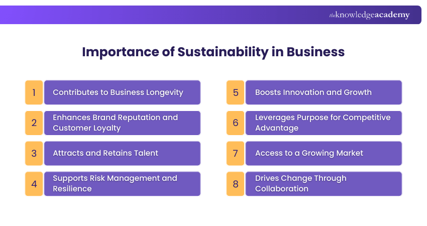 Importance of Sustainability in Business