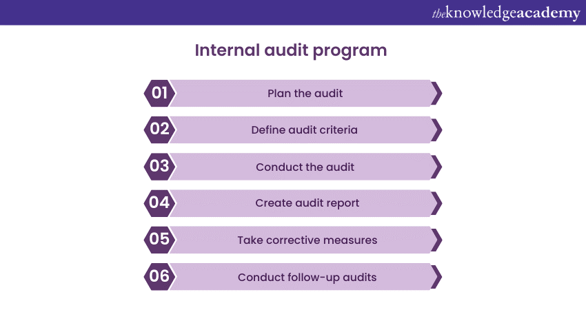Internal audit program