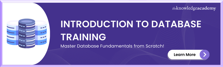Introduction to Database Training