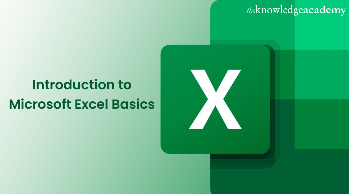 Basic Intro To Microsoft Excel - Earn & Excel