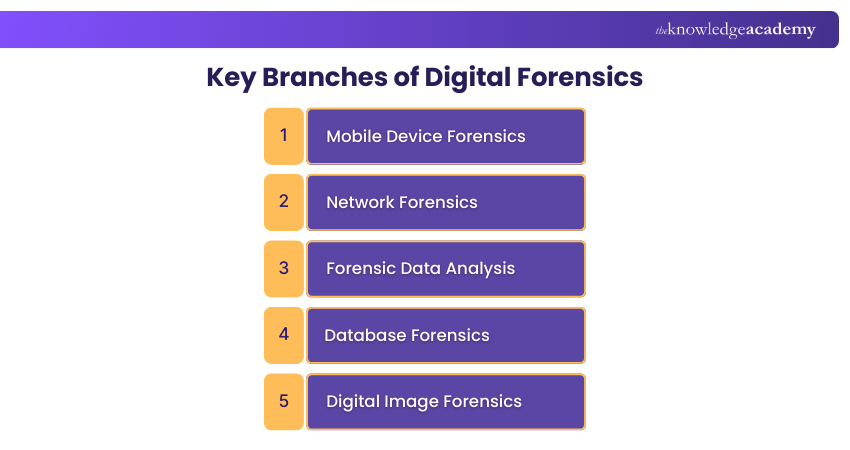 Key Branches of Digital Forensics
