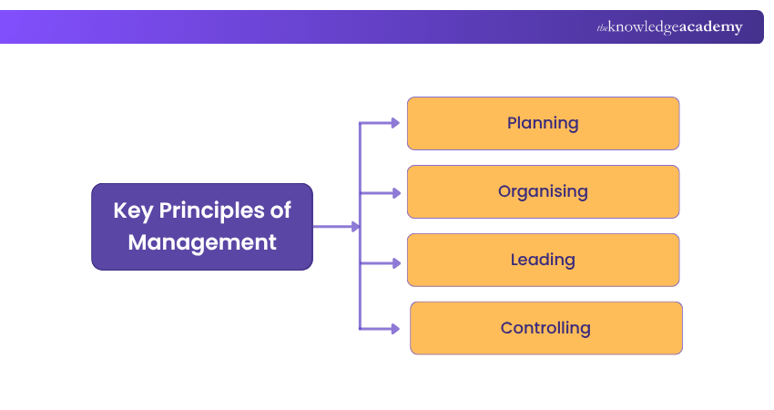 Key Principles of Management