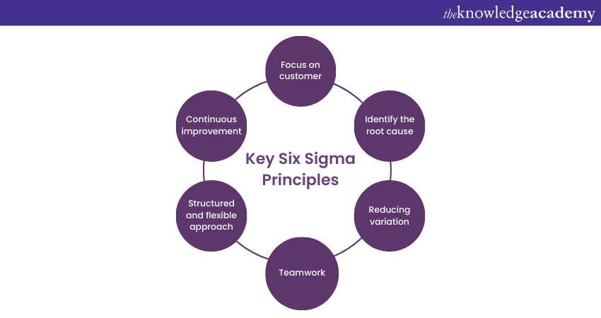 Key Six Sigma Principles
