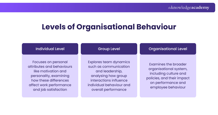 Levels of Organisational Behaviour Levels of Organisational Behaviour