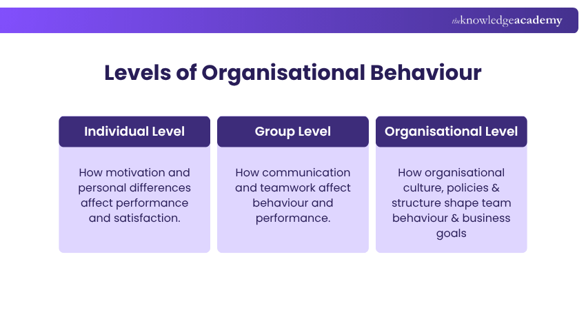 Levels of Organisational Behaviour Levels of Organisational Behaviour
