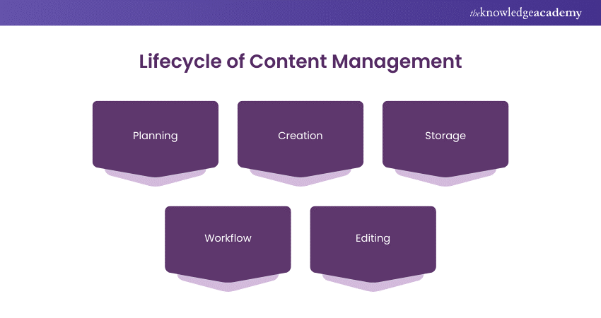 What is Content Management? Explained in Detail
