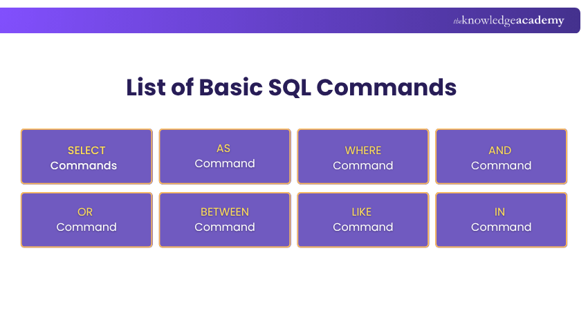 SQL Commands: A Complete List with Examples
