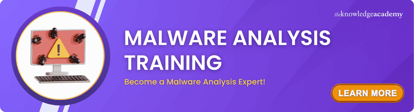 Malware Analysis Training