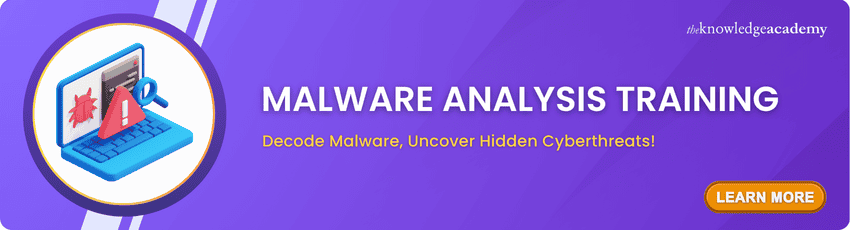 Malware Analysis Training