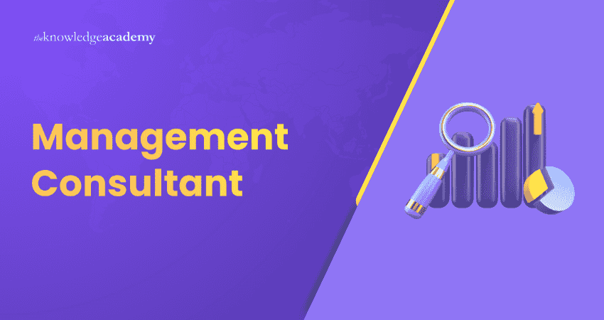 Management Consultant