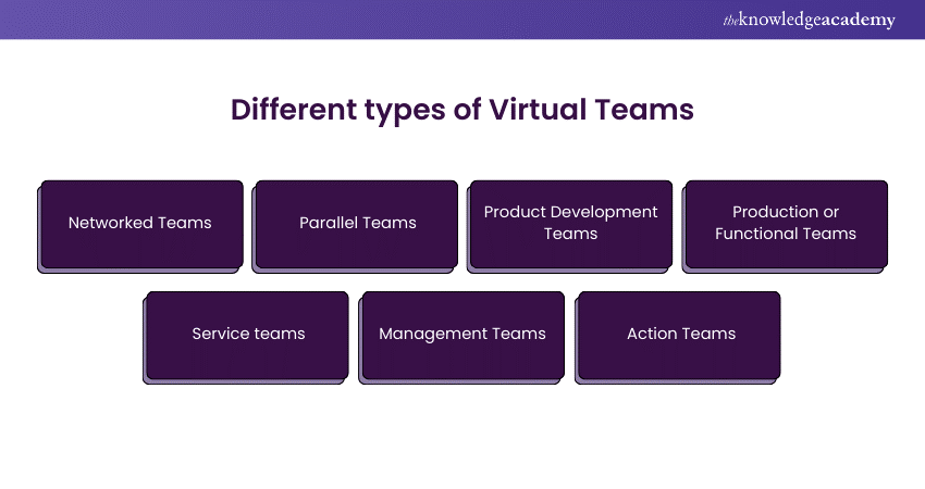 Managing Virtual Teams types