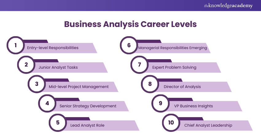 Business Analysis Career Levels