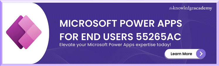 Microsoft Power For End User 55265 AC 