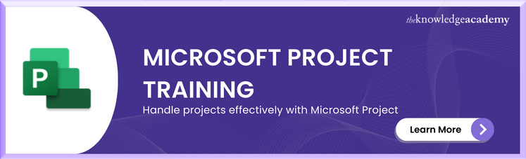 Microsoft Project Masterclass