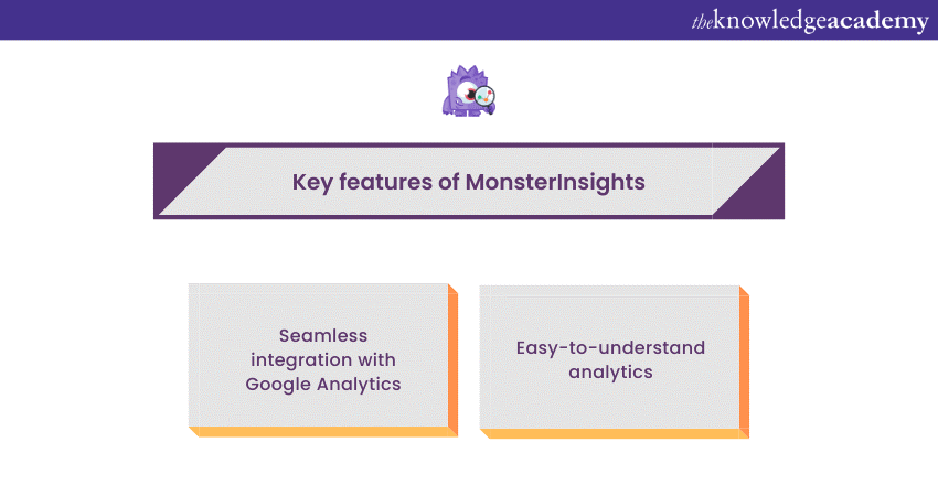 MonsterInsights