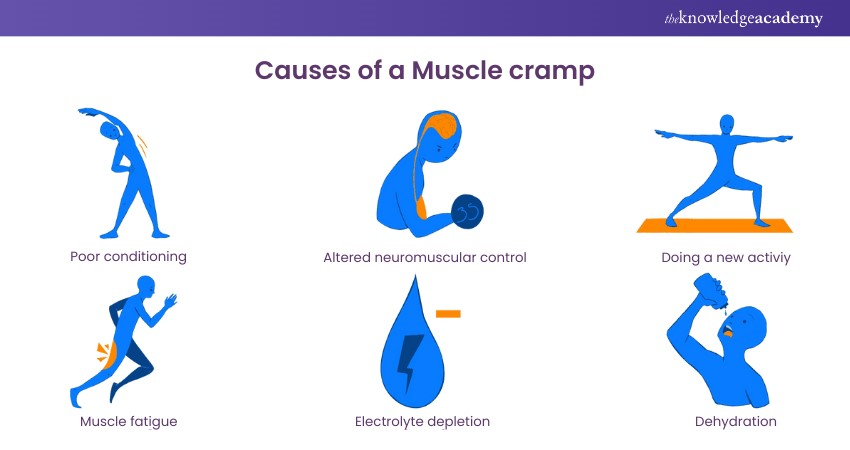 Muscle cramp causes