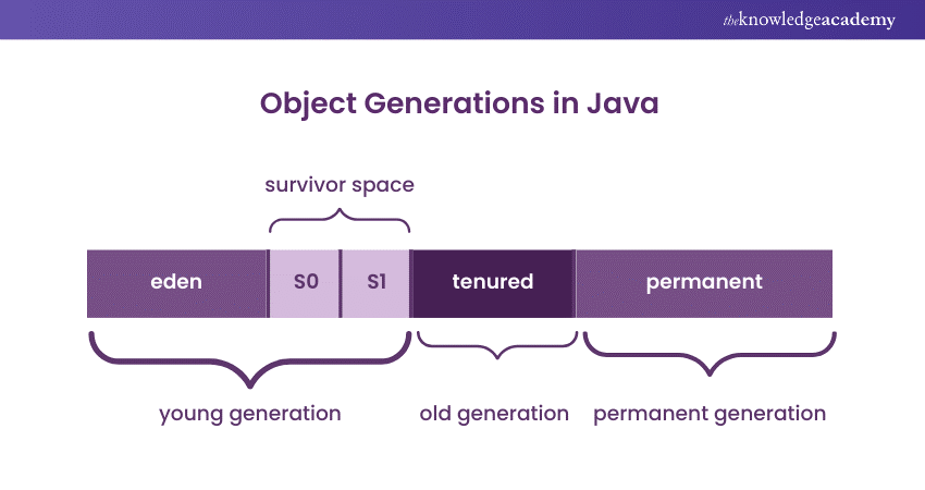 Object Generations in Java