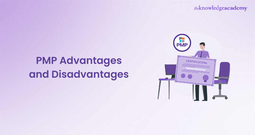 PMP Advantages and Disadvantages