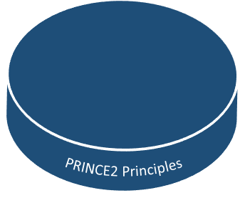 PRINCE2 PRINCIPLES