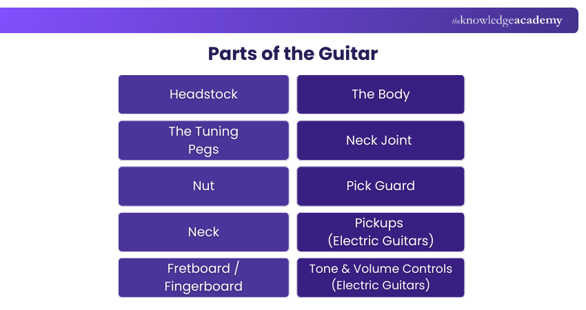 Parts of the Guitar