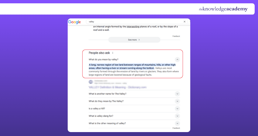 People Also Ask (PAA) section