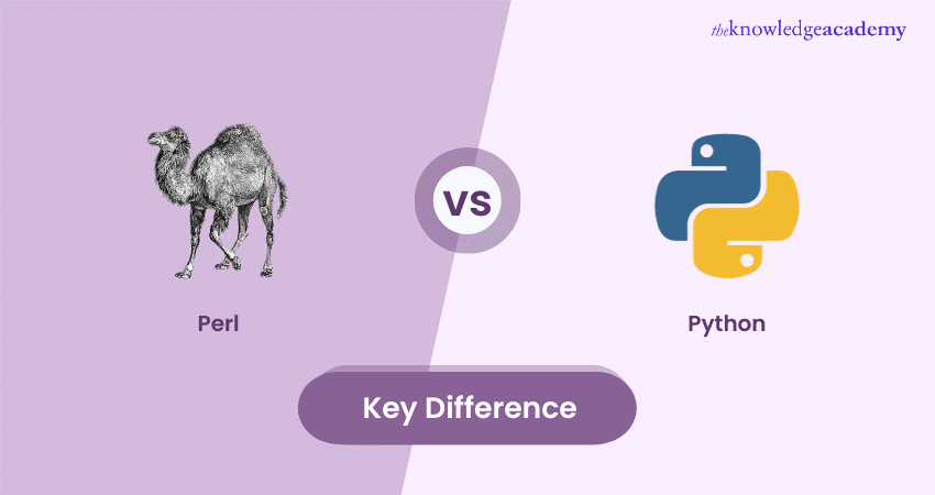 Perl vs Python