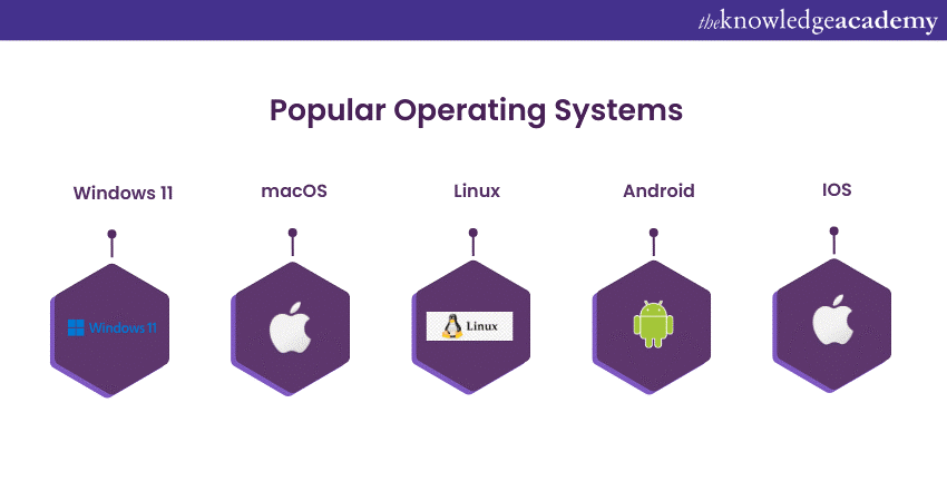 What is an Operating System? Explained