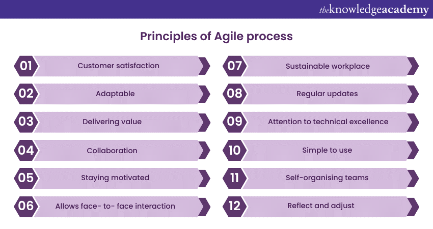 Principles of Agile process