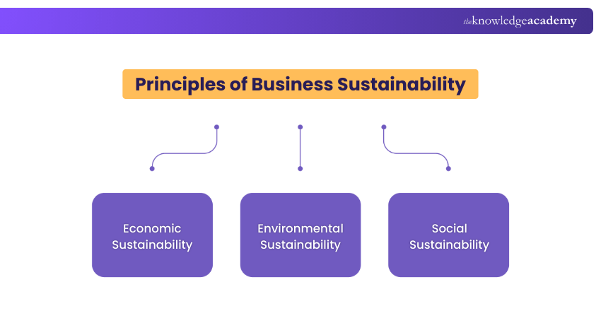 Principles of Business Sustainability
