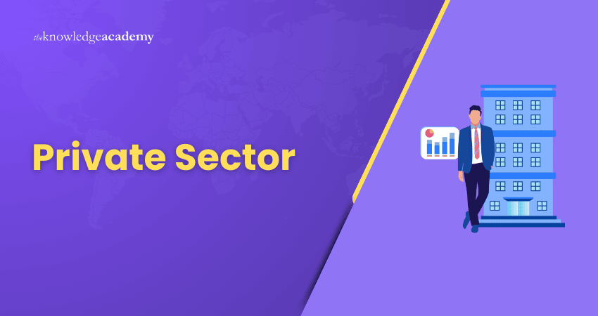 Private Sector Private Sector