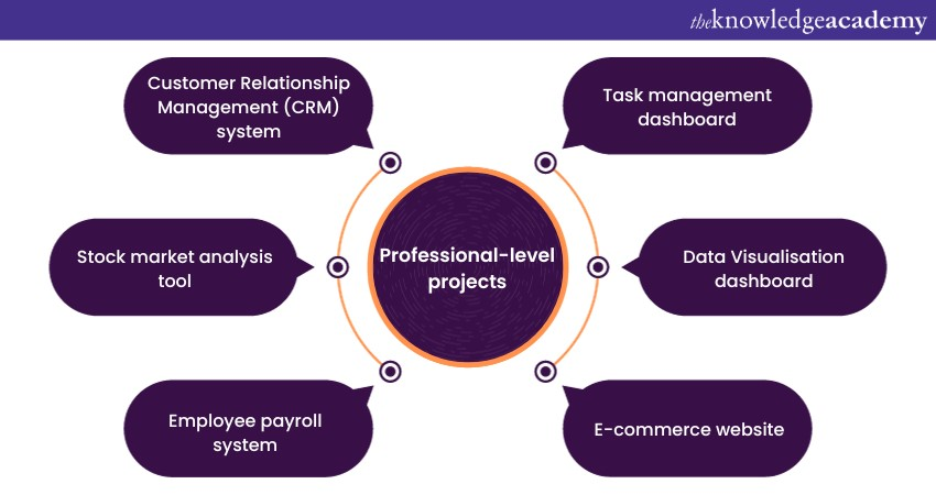 Professional-level projects Professional-level projects