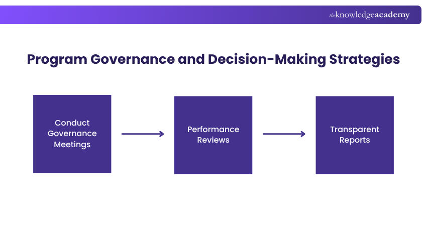 Program Governance and Decision-Making Strategies
