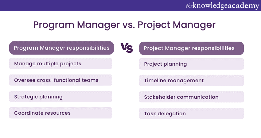 Program Manager VS. Project Manager