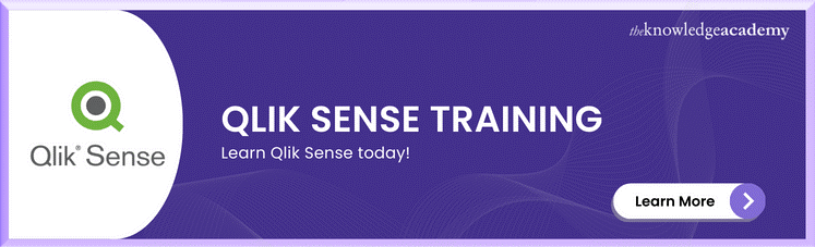 Qlik Sense Training 