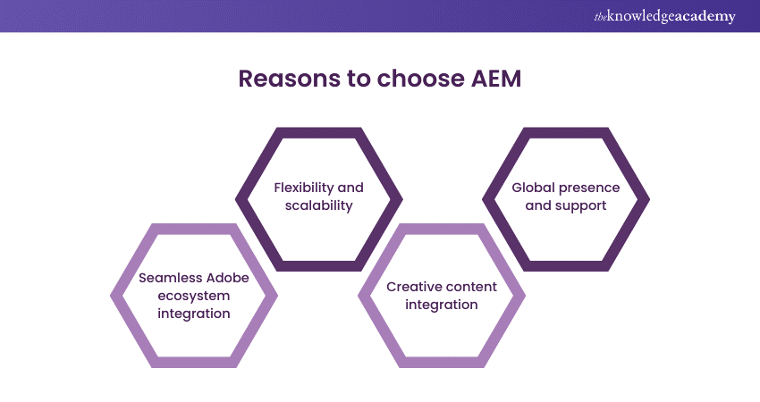 Reasons to choose AEM