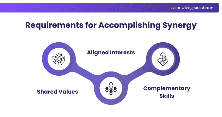 Requirements for Accomplishing Synergy Requirements for Accomplishing Synergy