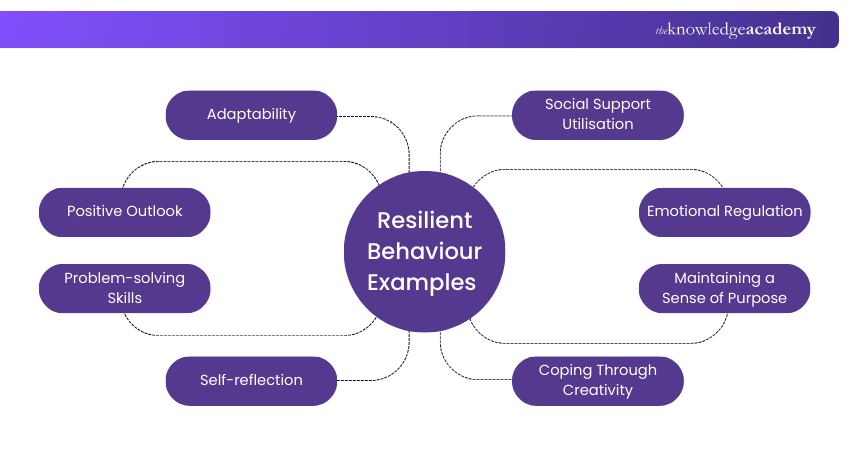 Resilient Behaviour Examples 