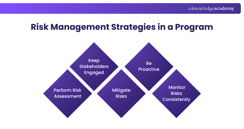 Risk Management Strategies in a Program