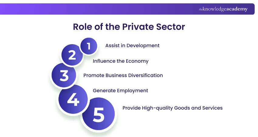 Role of the Private Sector Role of the Private Sector