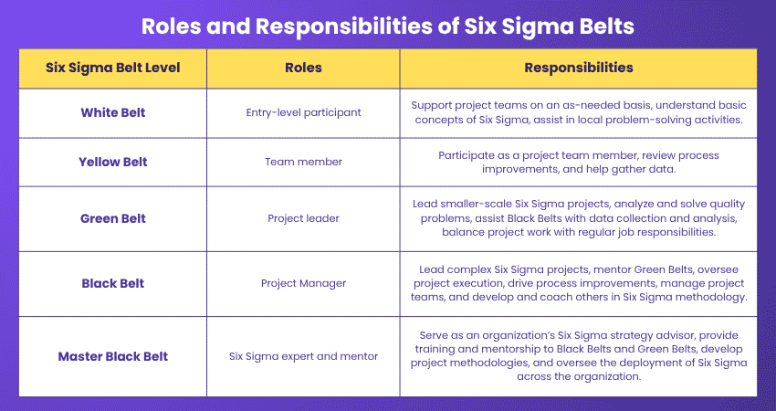 Roles and Responsibilities of Six Sigma Belts Roles and Responsibilities of Six Sigma Belts
