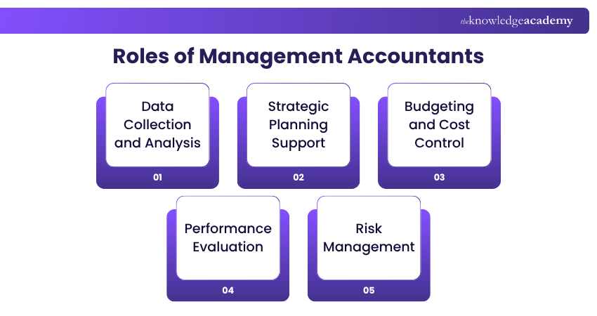 Key Roles of Management Accountants Management Accountant Roles