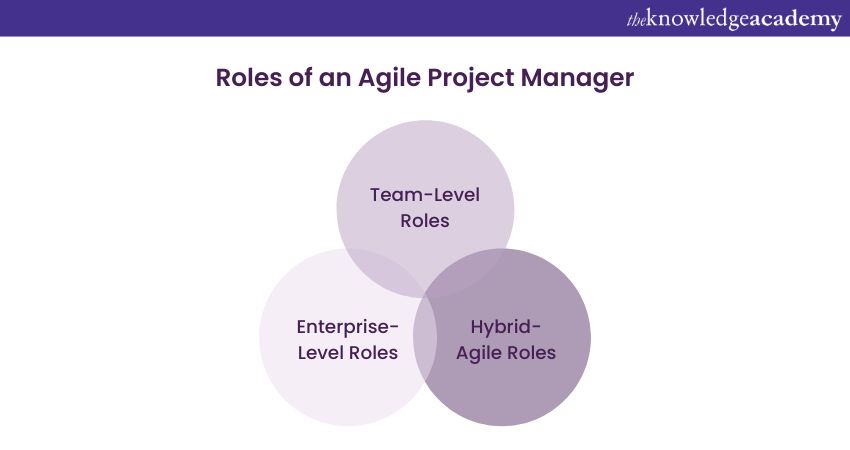 Roles of an Agile Project Manager