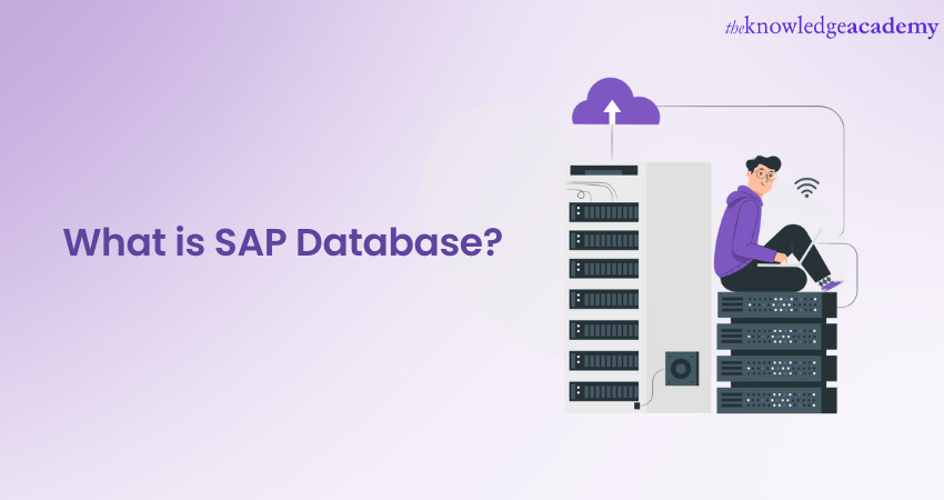 SAP Database