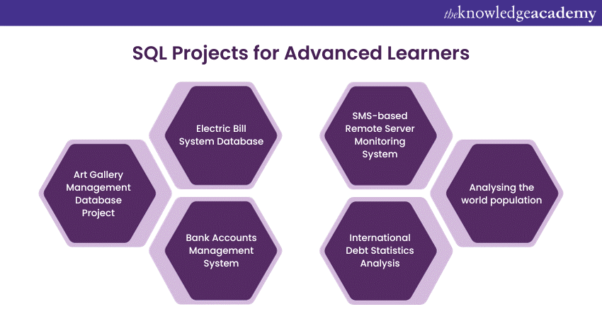 SQL Projects for Advanced Learners 