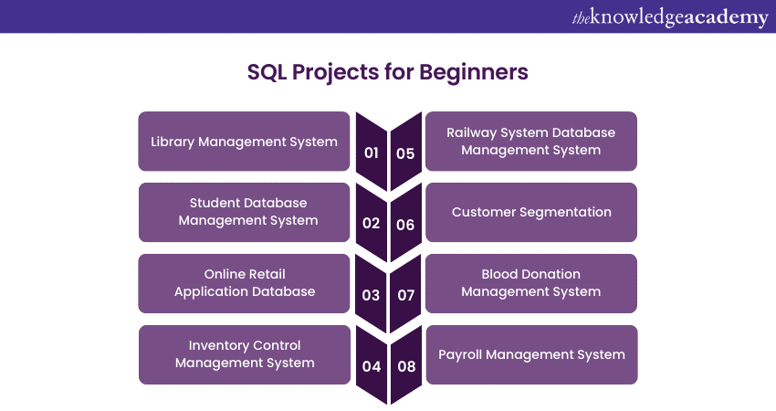 SQL Projects for Beginners