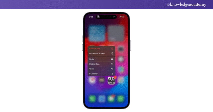 Setting icon in iPhone