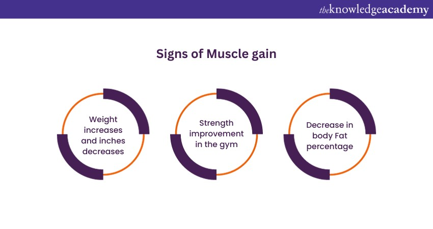 Signs of Muscle gain