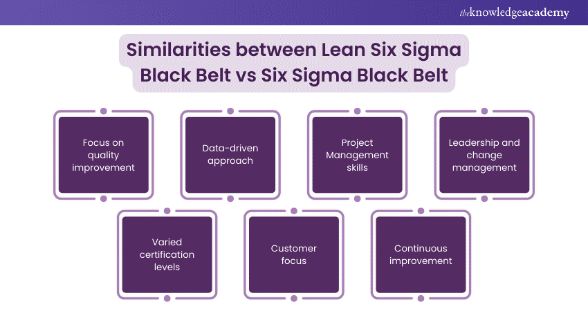 Similarities between Lean Six Sigma Black Belt vs Six Sigma Black Belt