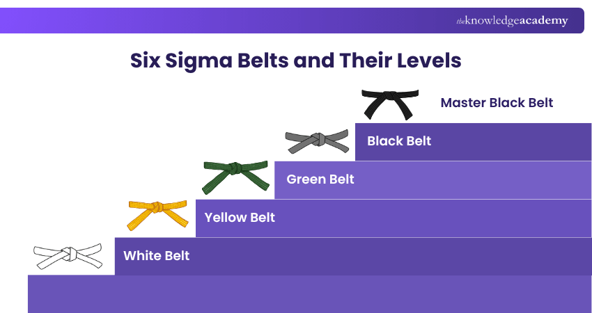 Description of the Six Sigma Belts Description of the Six Sigma Belts